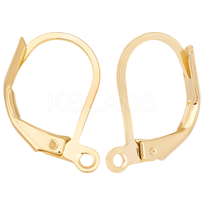 50Pcs Brass Leverback Earring Findings KK-BBC0023-87-1