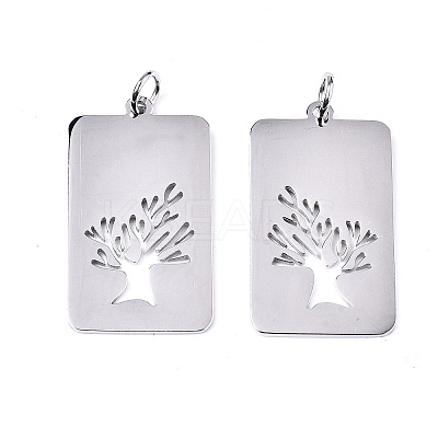 Non-Tarnish 304 Stainless Steel Pendants LS-STAS-S116-016P-1