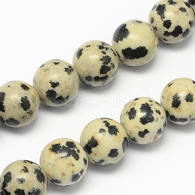 Natural Dalmatian Jasper Stone Bead Strands X-G-R193-14-4mm-1