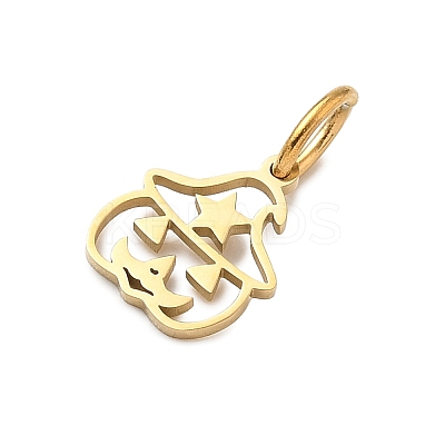 Halloween Theme 304 Stainless Steel Charms LS-STAS-Z164-04G-02-1