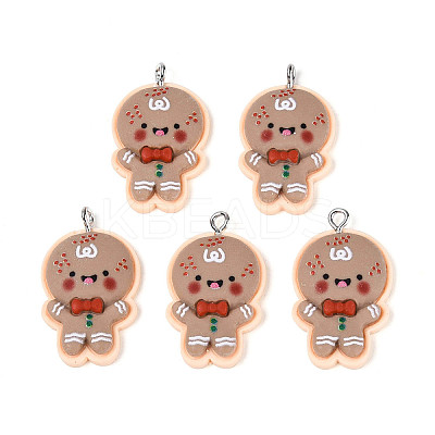 Christmas Theme Opaque Resin Pendants LS-FIND-E025-04-1