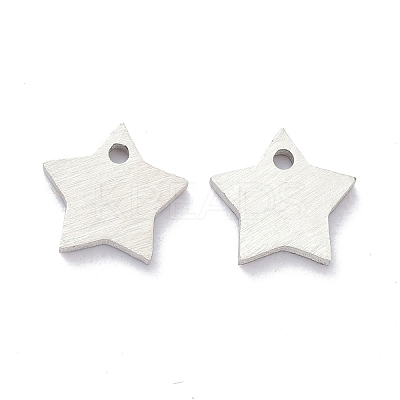 Tarnish Resistant 304 Stainless Steel Pendants STAS-K216-46P-1