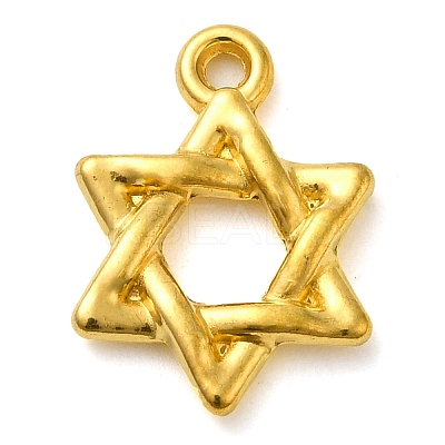 Ion Plating(IP) 304 Stainless Steel Pendants STAS-M070-14G-1