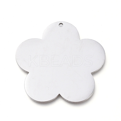 Tarnish Resistant 304 Stainless Steel Pendants STAS-L238-097A-P-1