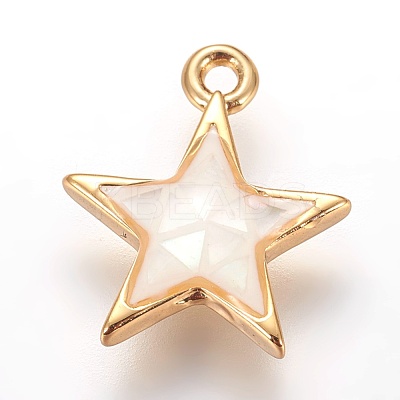 Brass Enamel Charms KK-E763-10A-G-1