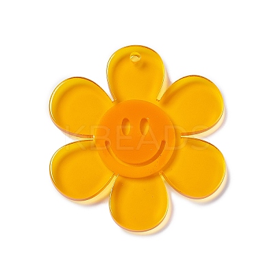 Transparent Acrylic Big Pendants OACR-P012-A01-1