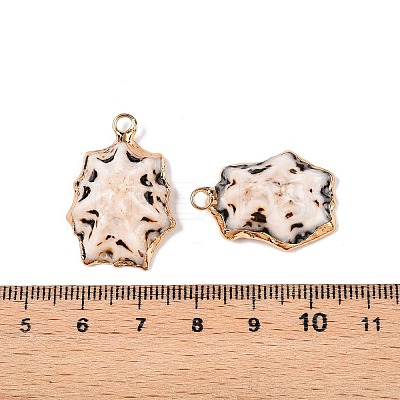 Natural Sea Shell Pendants SSHEL-N038-21-1