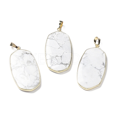 Natural Howlite Pendants G-K338-05C-1