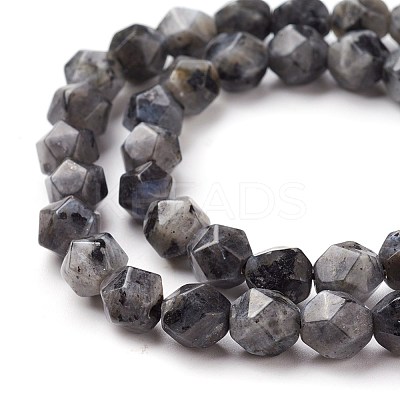 Natural Sesame Jasper/Kiwi Jasper Beads Strands G-F545-C10-1