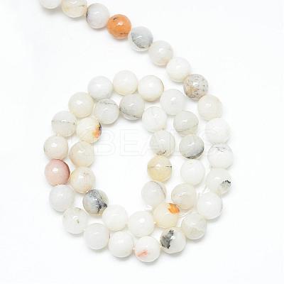 Natural Agate Bead Strands G-R346-10mm-26-1