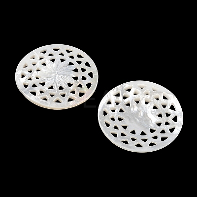 Natural White Shell Hollow Cabochons SSHEL-I026-19-1
