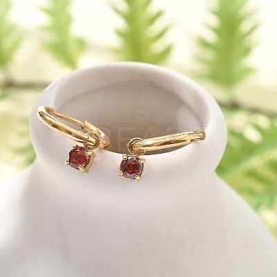 Ion Plating(IP) 304 Stainless Steel Micro Pave Cubic Zirconia Hoop Earrings STAS-R004-02G-01-1
