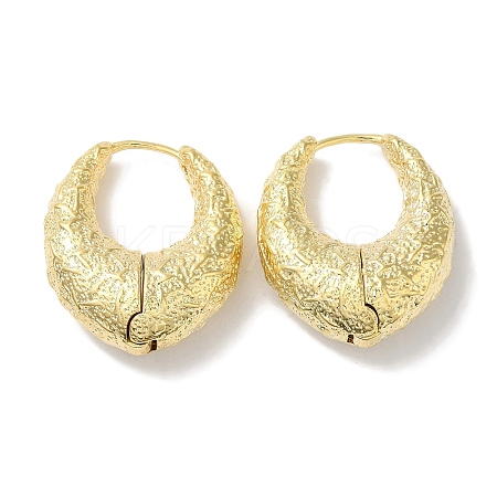 Ring with Texture Brass Hoop Earrings for Women EJEW-U008-01G-1
