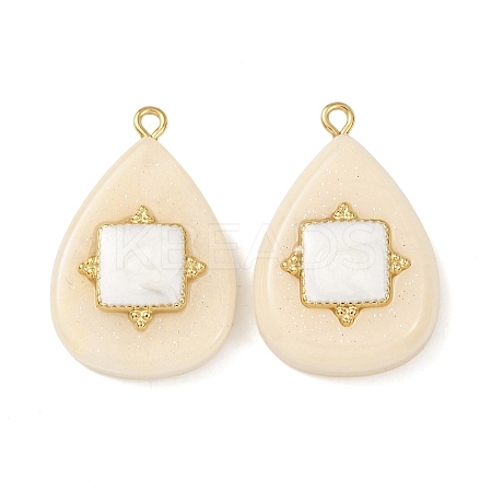 304 Stainless Steel Resin Pendants STAS-F352-07E-08-1