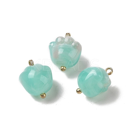 Acrylic Pendants MACR-C033-06B-1