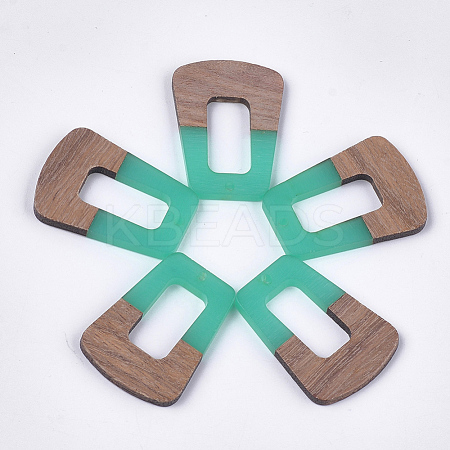 Resin & Walnut Wood Pendants X-RESI-S358-84A-1