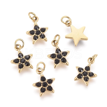 316 Surgical Stainless Steel Charms STAS-F256-024A-G-1