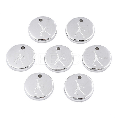 Non-Tarnish 316 Surgical Stainless Steel Charms STAS-S116-418I-P-1