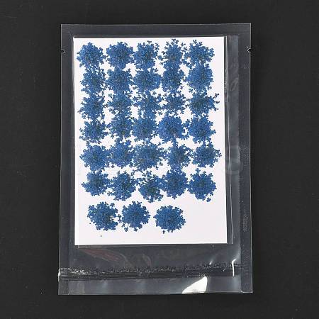 Pressed Dried Flowers DIY-K032-58J-1