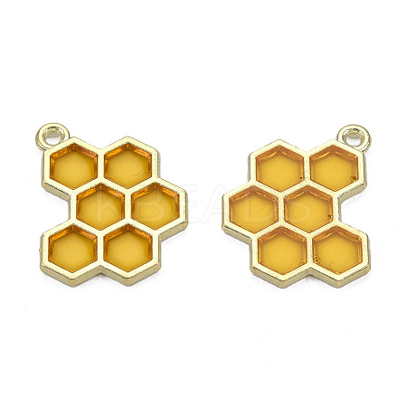 Epoxy Resin Pendants LS-X-RESI-Q213-001-NR-1