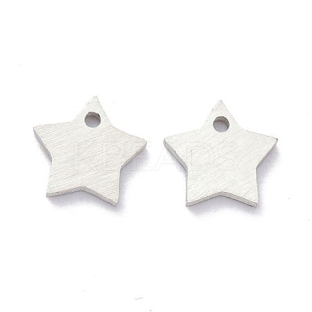 Tarnish Resistant 304 Stainless Steel Pendants STAS-K216-46P-1