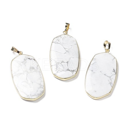 Natural Howlite Pendants G-K338-05C-1