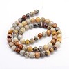 Natural Gemstone Round Bead Strands G-J303-10-6mm-2