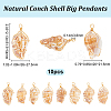 10Pcs Natural Conch Shell Big Pendants FIND-BBC0003-11-2