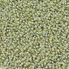 MIYUKI Round Rocailles Beads SEED-JP0008-RR0359-3