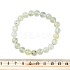 Natural Prehnite Round Beaded Stretch Bracelets for Men Women BJEW-G743-01F-6