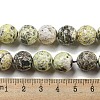 Faceted Natural Fire Crackle Agate Beads Strands G-F447-12mm-J01-5