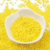 Baking Paint Glass Seed Beads SEED-S042-05B-81-2