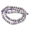 Natural Purple Turquoise Beads Strands G-L595-C04-01-3
