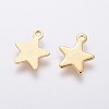 304 Stainless Steel Charms LS-X-STAS-L234-069G-2