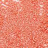 Baking Paint Glass Seed Beads X-SEED-S042-15B-29-3