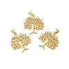 Rack Plating Brass Pave Cubic Zirconia Pendants KK-O142-34G-1