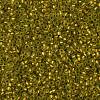 TOHO Round Seed Beads SEED-JPTR11-0996FM-2