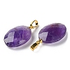 Natural Amethyst Pendants G-E603-03G-02-3
