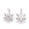Brass Micro Pave Cubic Zirconia Pendants LS-KK-F774-10P-NR-2