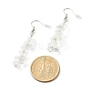 Natural Quartz Crystal Chip Beads Dangle Earrings EJEW-JE04649-06-3