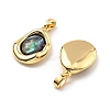 Brass Pave Natural Paua Shell Pendants KK-B129-08G-2