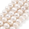 Natural Cultured Freshwater Pearl Beads Strands PEAR-C003-14D-2