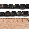 Natural Biotite Beads Strands G-D098-D15-5