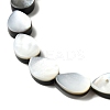 Natural Black Lip Shell Beads Strands BSHE-D300-04B-3