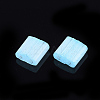 2-Hole Glass Seed Beads SEED-S023-16C-02-2