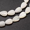 Natural Trochid Shell/Trochus Shell Beads Strands SSHEL-K015-04-3