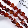 Natural Red Agate Beads Strands G-S364-097-4