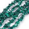 Natural Malachite Beads Strands X-G-F079-02-1