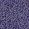 TOHO 11/0 Round Beads SEED-XTR11-PF0567-2