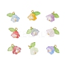 9Pcs 9 Colors Glass Charms PALLOY-MZ00838-1